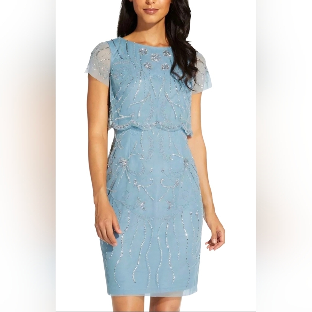 Adrianna Papell Embellished Overlay In Sky Blue Garment Size 4 NWT